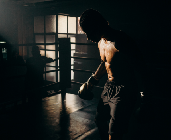 L'histoire de la boxe