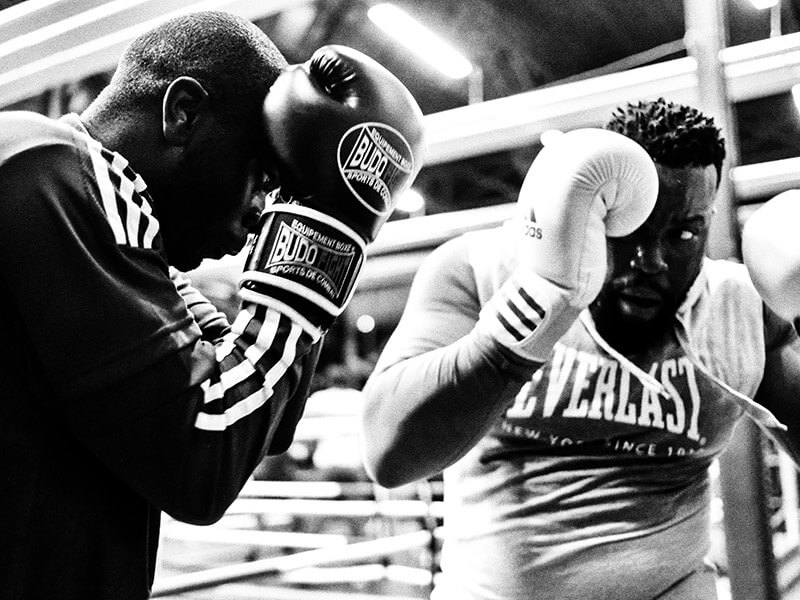 Two boxers in training